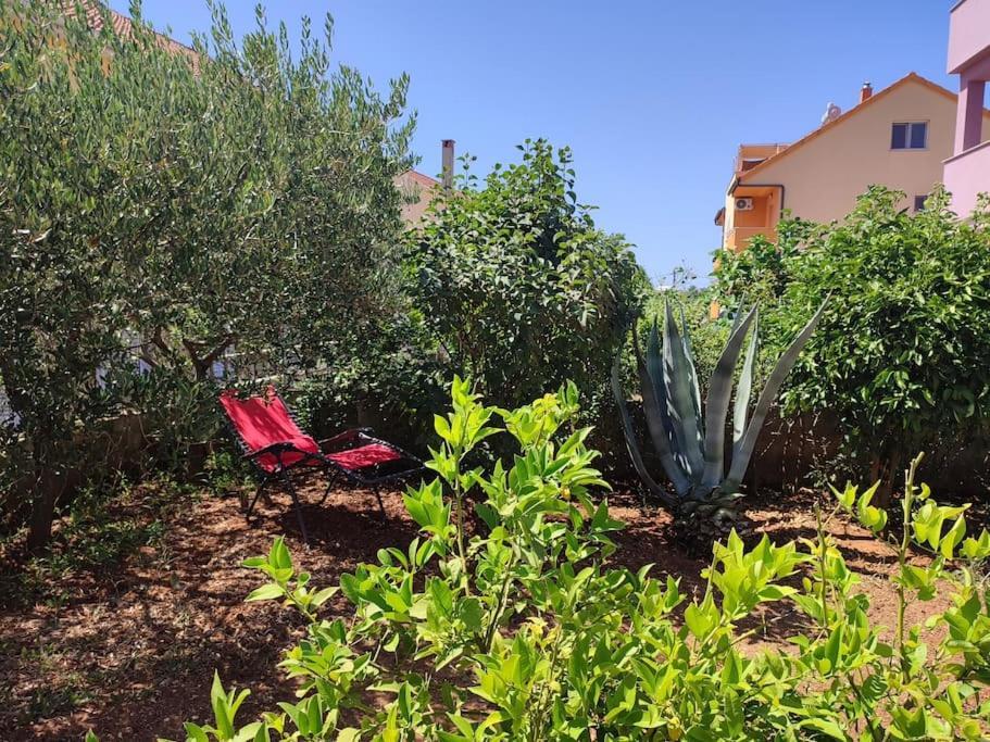 Apartment Nera Ζαντάρ Εξωτερικό φωτογραφία